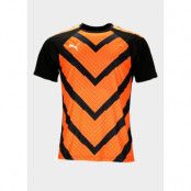 Teamliga Graphic Jersey, Puma Black-Neon Citrus, 2xl,  T-Shirts