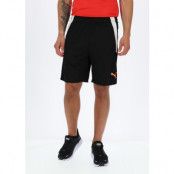 Teamliga Training Shorts 2