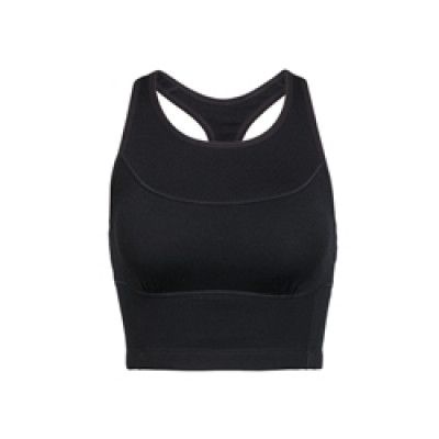 Icebreaker Wmns Meld Zone Long Sport Bra