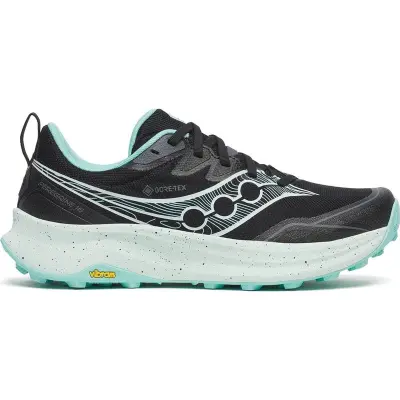 Saucony Peregrine 16 GTX W Black/Aqua - 38