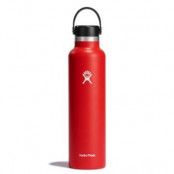 Hydro Flask Std Mouth Flex 24 Mouth Bottle with Standard Flex Cap 709ml Goji